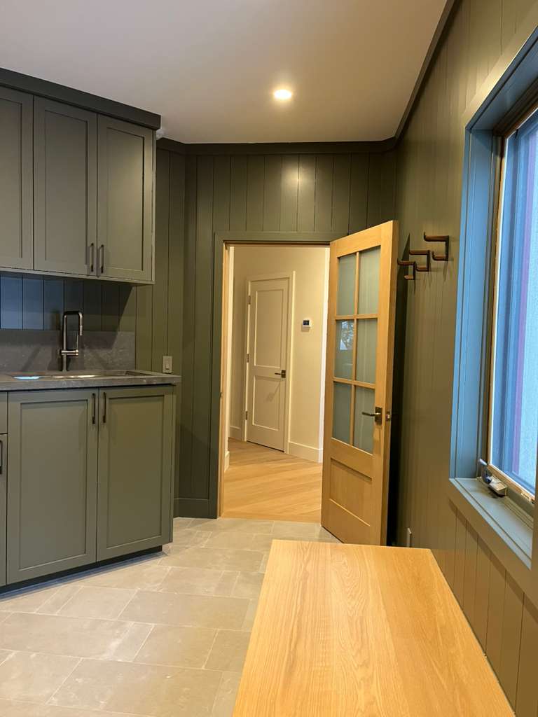 Basement playroom with custom bird ceiling and slate-blue shiplap walls